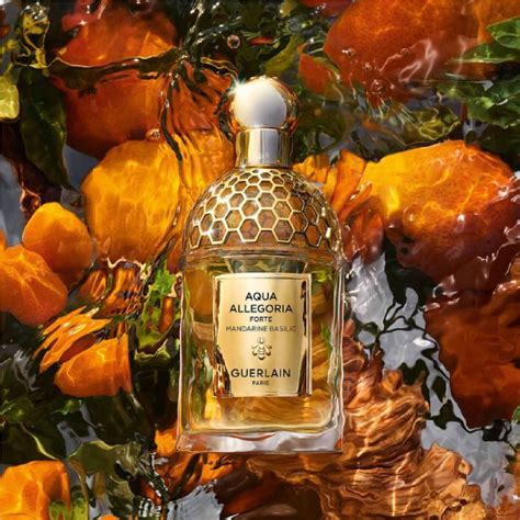 aqua allegoria new|aqua allegoria mandarine basilic.